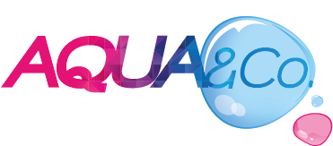 Pisciniste pour l'entretien de votre piscine au Haillan 